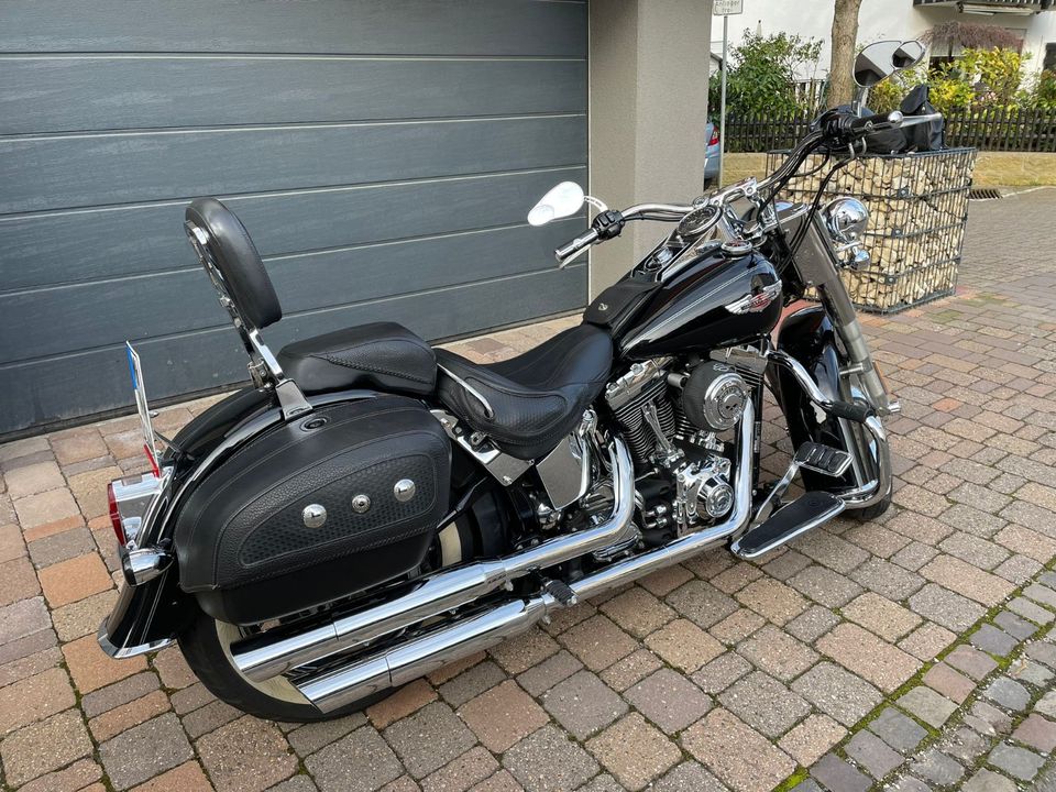 Harley Davidson Softail Deluxe in Neustadt an der Weinstraße