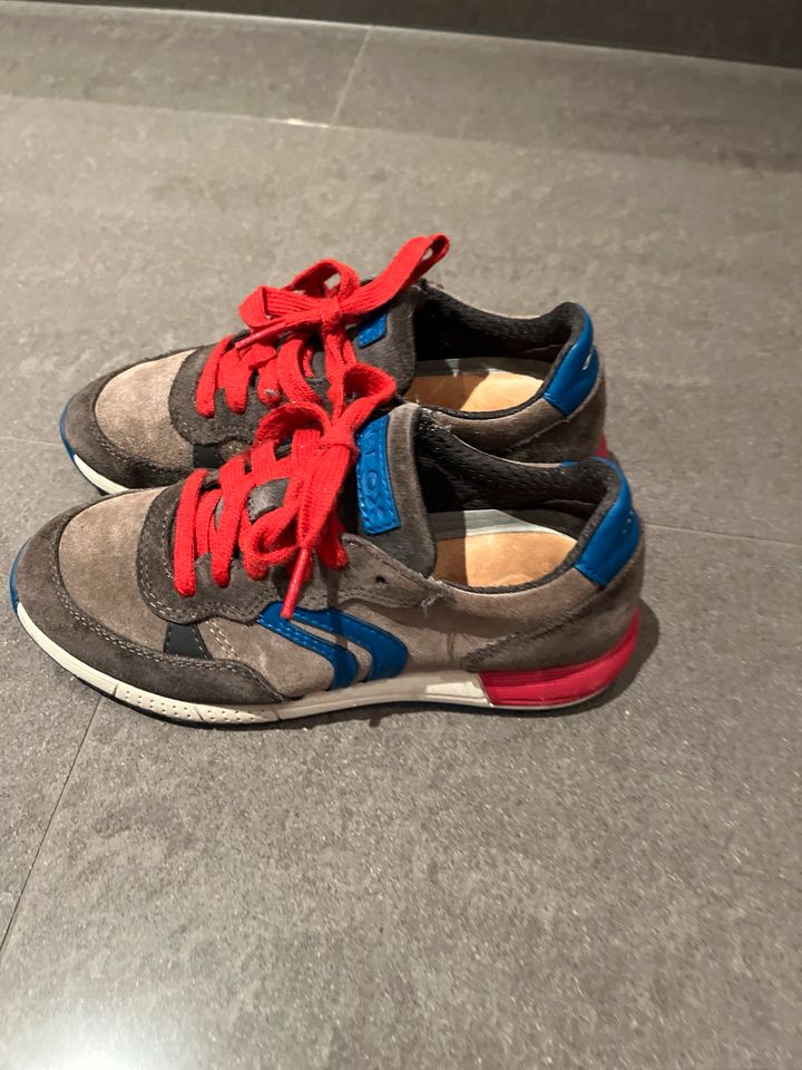 Geox Sneakers Kinder 33 in Vinningen