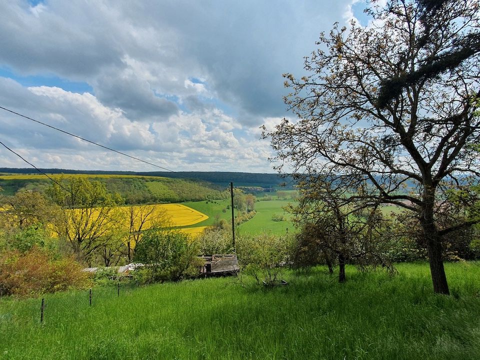 Grundstück mit Hanglage und atemberaubendem Weitblick in Wetterzeube