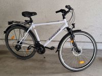 Zündapp Silver 2.0 Herren Trekkingrad 28 Zoll Baden-Württemberg - Nagold Vorschau