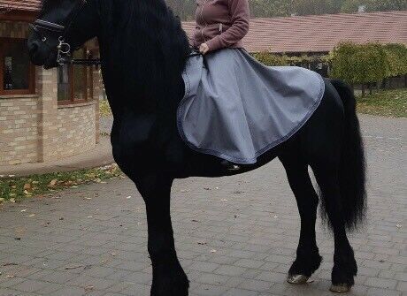 Reitrock Reitkilt mit Klettverschluss verschiedene Farben NEU in Rehlingen