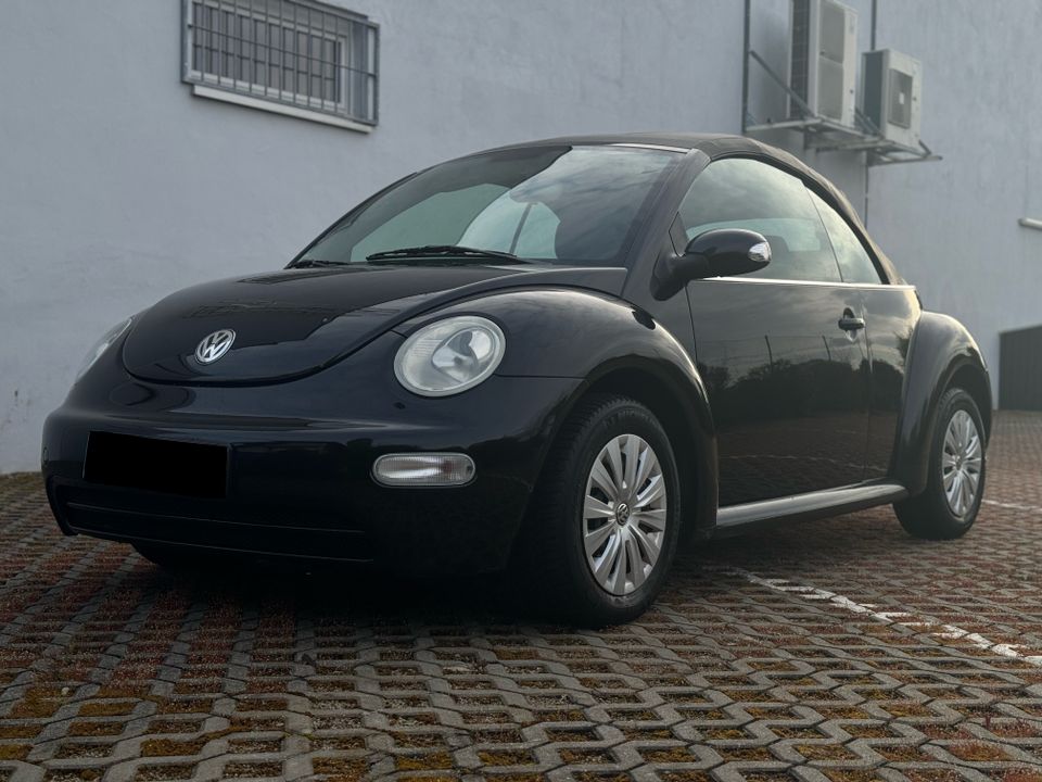 Volkswagen Beetle / New Beetle Cabrio 1.6 TÜV 2025 in Nürnberg (Mittelfr)