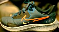 Nike Air Zoom Pegasus 39 Shield Dresden - Dresden-Plauen Vorschau