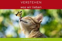 Tierkommunikation Basis-Web-Seminar Bayern - Rieden a. Forggensee Vorschau