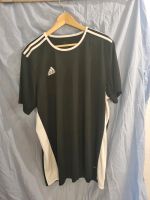 Addias Sport Shirt 2x XL für den Sport 10 Berlin - Schöneberg Vorschau