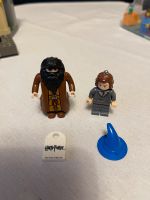 LEGO Figuren Harry Potter Hermine Hagrid Zauberhut Zubehör Schleswig-Holstein - Henstedt-Ulzburg Vorschau