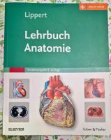 Lehrbuch Anatomie - Herbert Lippert Bayern - Regensburg Vorschau