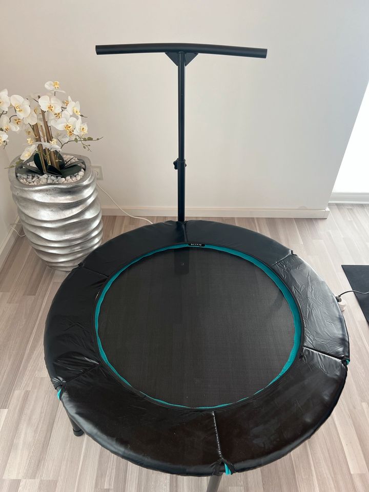 Trampolin mit Stange in Nastätten