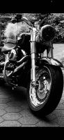 Harley Davidson Fatboy 103 FLSTF Twin Cam Niedersachsen - Celle Vorschau