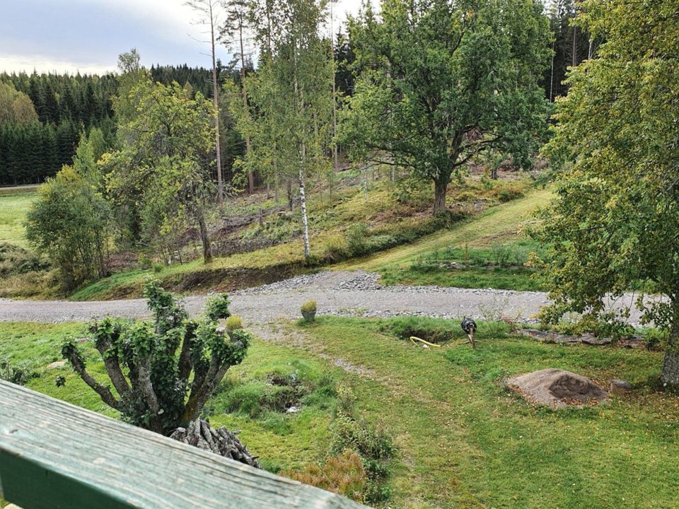 Ferienhaus Ferienwohnung Schweden Värmland Kanuparadies Dalsl, 4P in Dauchingen