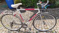 Herren Tourenrad 28“ mit hochwertiger Ausstattung Bayern - Burghaslach Vorschau
