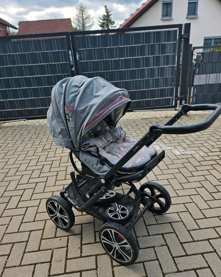 Kinderwagen Gesslein F6 in Üchtelhausen