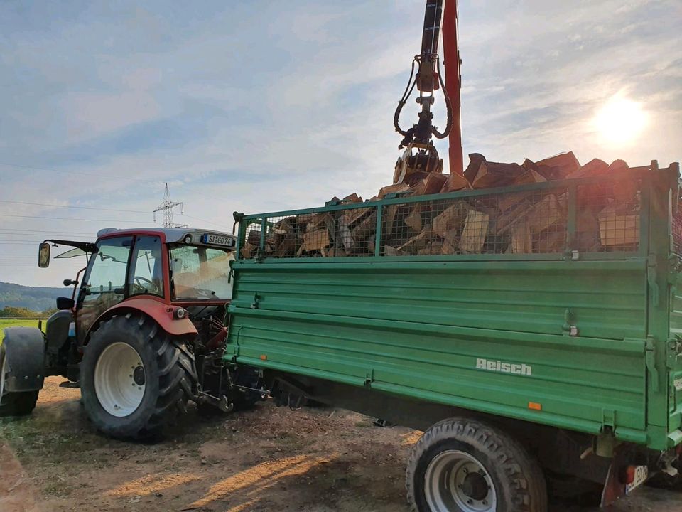 Brennholz Kaminholz aus der Region   Nadelholz in Netphen