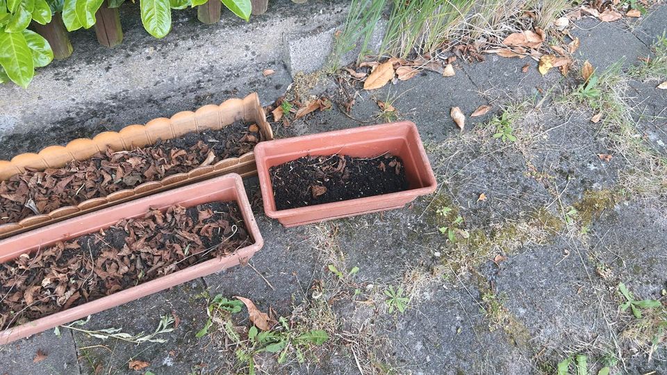 Blumenkasten verschiedene in Bergisch Gladbach