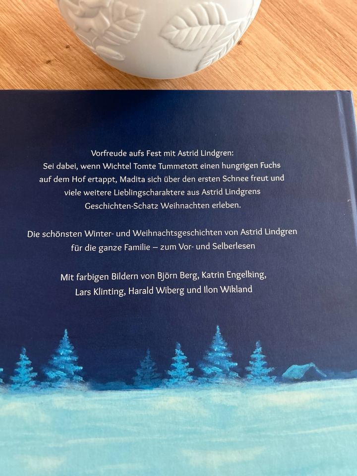 Kinderbuch Astrid Lindgren ***TOLL*** in Möser
