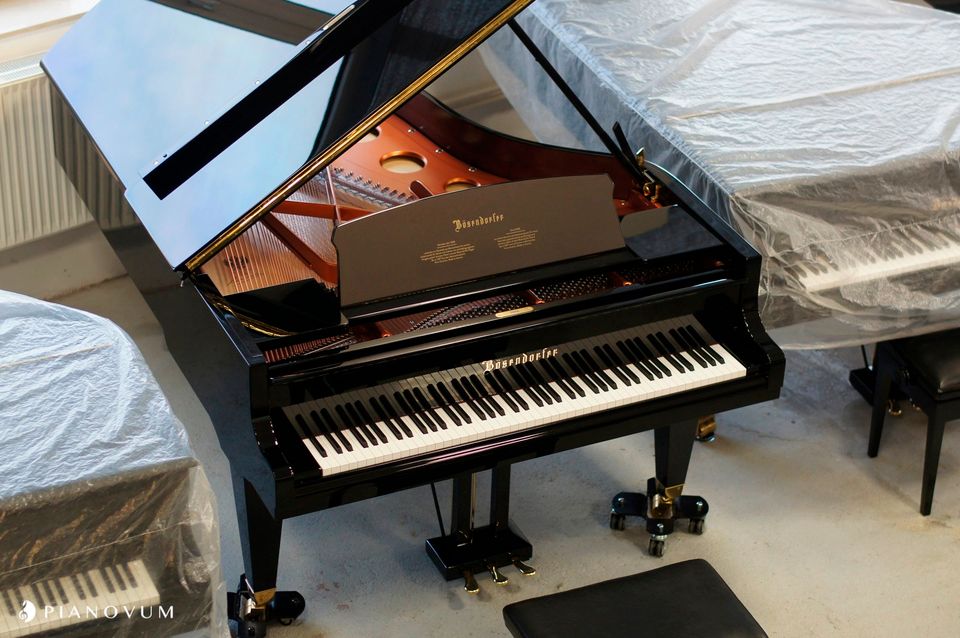 Test the best! Steinway & Sons B-211 vs. Bösendorfer 214 VC in Düsseldorf