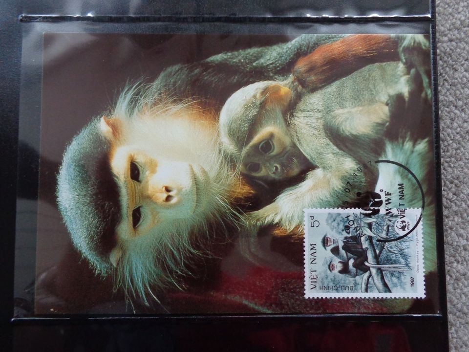 WWF Briefmarken Tier Briefmarken Sammlung 1987  Kleideraffe und in Bad Saulgau