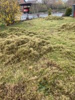 Vertikutieren Gartenarbeit Hecke schneiden Schleswig-Holstein - Flintbek Vorschau