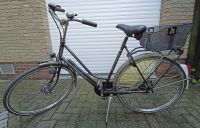 Damenfahrrad Gazelle Mod Tournee Hollandrad 50er Rahmen 28" Bad Zwischenahn - Ofen Vorschau