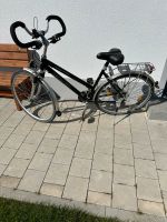 Bergamont Damenfahrrad 28 Zoll Bayern - Höchstädt a.d. Donau Vorschau