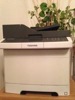 Drucker Toshiba Brandenburg - Forst (Lausitz) Vorschau