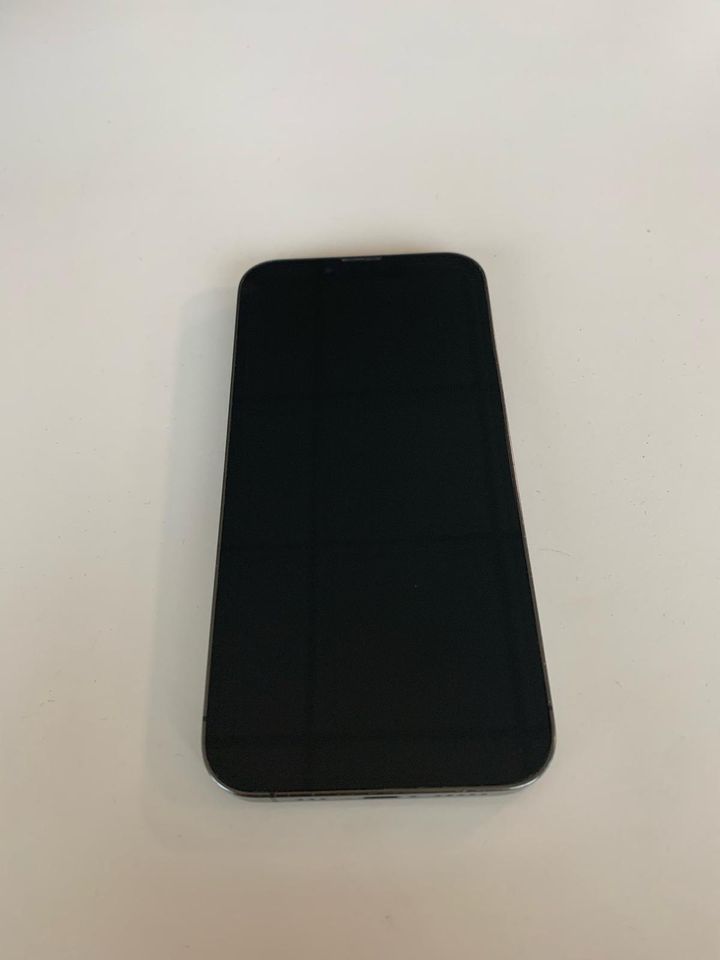 iPhone 13 Pro    128GB Graphit in Homburg