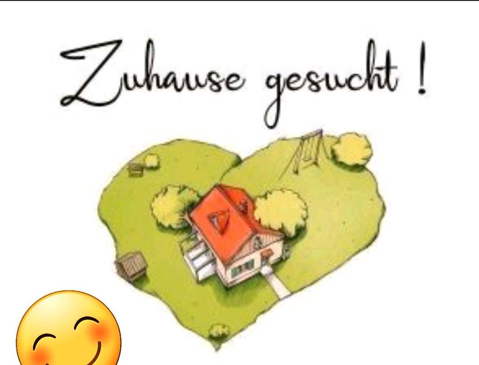 Suche Häuschen mit Garten zur Miete in Frechen