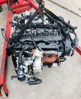 Kompletter Motor DFS/DFG - VW Caddy Maxi 2.0 TDI - ca. 41 TKM Rheinland-Pfalz - Hermeskeil Vorschau