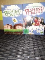 Pushing Daisies Staffel 1+2 in DVD Bayern - Pretzfeld Vorschau