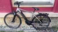 Winora IX 11 Sinus E-Bike Dresden - Cotta Vorschau