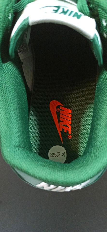 Nike - Dunk low Michigan State Grün (Bitte um faires Angebot) in Bad Ems