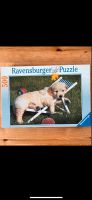 Puzzle Ravensburger Welpe 500Teile Bayern - Kolitzheim Vorschau