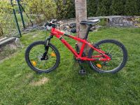 Mountainbike 20 Zoll rot Alurahmen Brandenburg - Seddiner See Vorschau