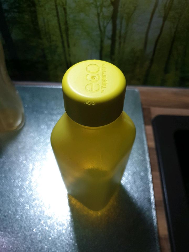 Tupperware Trinkflasche 500 ml -> reduziert in Riedstadt