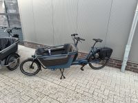 Winora F.U.B. 2W Cargo Lastenrad Transportfahrrad 600€ Cashback Niedersachsen - Bassum Vorschau