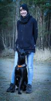 Hundetraining "find your way" Ludwigslust - Landkreis - Neustadt-Glewe Vorschau