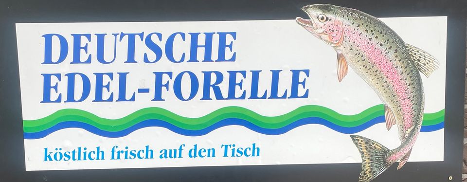 Forelle/ Regenbogenforelle / Speisefisch/ Besatzfische in Visbek