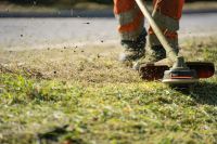 Gartenhilfe, Rasen schneiden, Hecke schneiden und mehr Nordrhein-Westfalen - Goch Vorschau