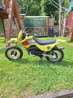 Suzuki jr 50 Sachsen - Kitzscher Vorschau