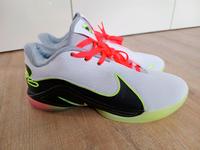 Nike Lebron 22 Basketball Schuhe Sneaker Jordan KD GT wneu Niedersachsen - Lehrte Vorschau