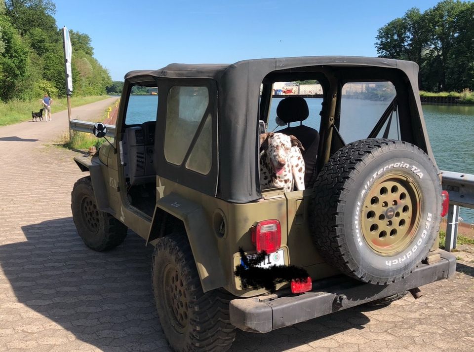 Military Jeep TJ -US Import   2,5L in Minden