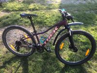 Mountainbike 27.5 Zoll Bayern - Altenstadt Vorschau