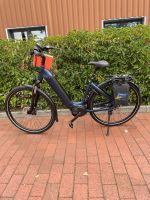 Velo de Ville AEB890 Intube Bosch, EnvioloTR [neu] E-Bike Niedersachsen - Garrel Vorschau