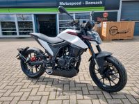 Bike Motorrad Malaguti DRAKON125 ABS LED Thüringen - Barchfeld Vorschau