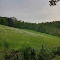 Bogenschießen Pfeile gesucht compound und recurve Herzogtum Lauenburg - Mölln Vorschau