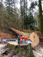 Forstwirtschaftliche Dienstleistungen mit Rückewagen, Holzrücken, Bayern - Donaustauf Vorschau