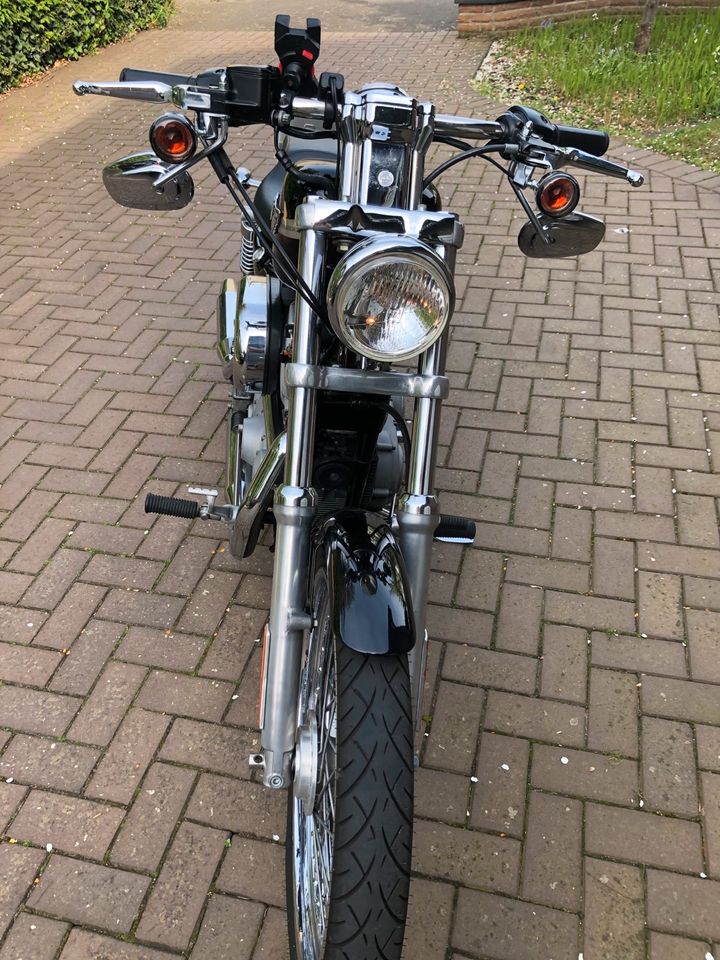 Harley-Davidson 883 Sportster XL in Gütersloh
