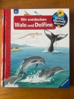 wieso? Weshalb? Warum? Bd. 41: Wir entdecken, Wale und Delfine. Niedersachsen - Braunschweig Vorschau