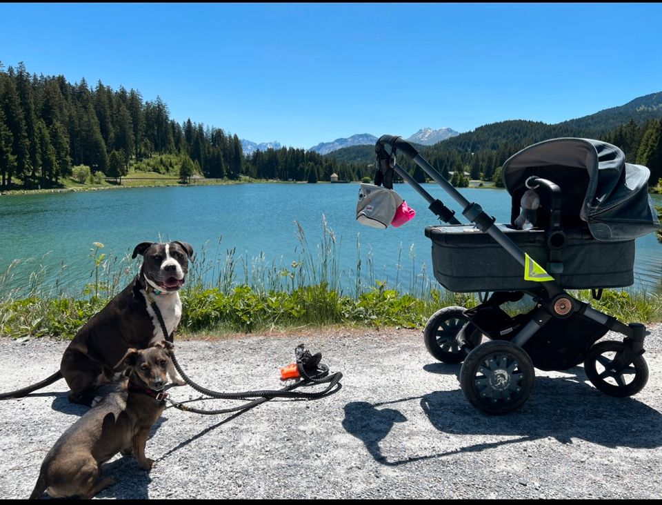 Bugaboo Buffalo Diesel edition Jeans Denim in Kaarst