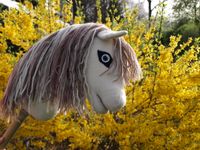 wunderschönes weißes Hobby horse mit viel Zubehör Bayern - Füssen Vorschau